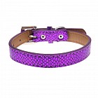 Ошейник «Змеиная кожа» со стразами на пряжке, 44 х 2 см, фиолетовый