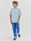св.шалфей + печать