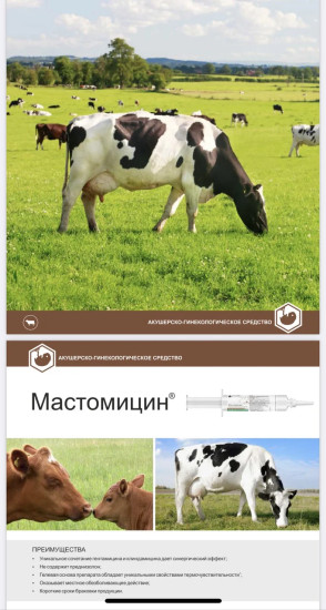 Шприц-гель от мастита «Мастомицин»
