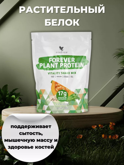 Растительный белок