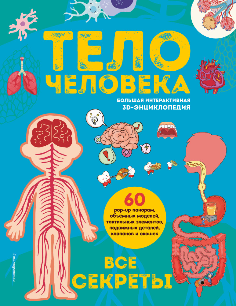 Тело человека. Все секреты. Большая интерактивная 3D-энциклопедия | Книги-панорамки с интерактивом и 3D. Подарочные издания