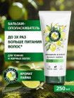 лайм лайм