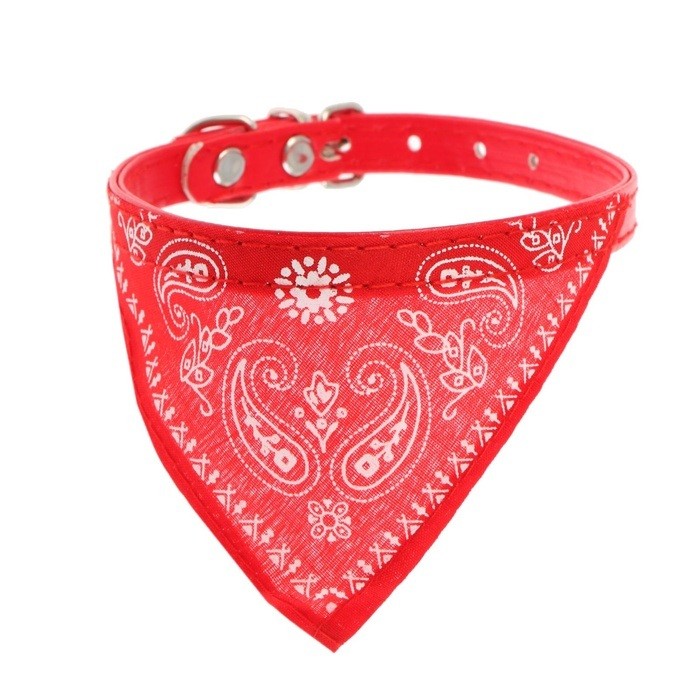 Ошейник с косынкой