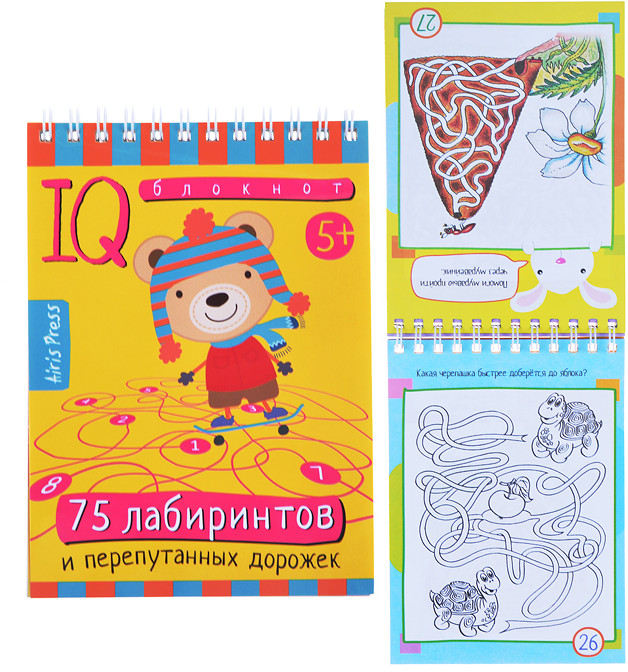 Умный блокнот. 75 лабиринтов