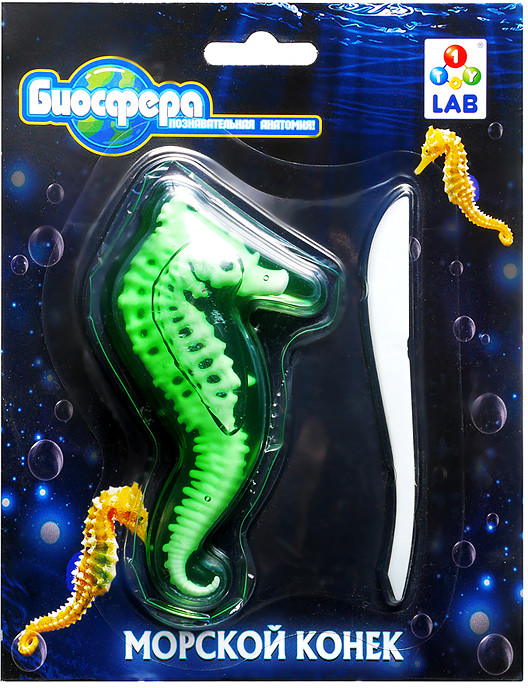 Набор для опытов «Морской конек» | 1TOY