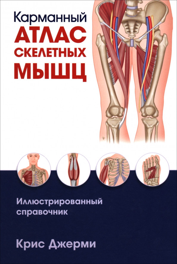 Карманный атлас скелетных мышц. Иллюстрированный справочник