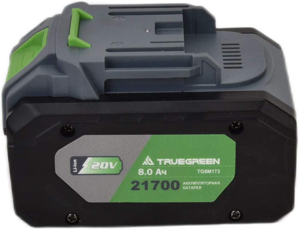 Аккумулятор TG8M173-2 | Truegreen