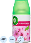 цветущая сакура цветущая сакура