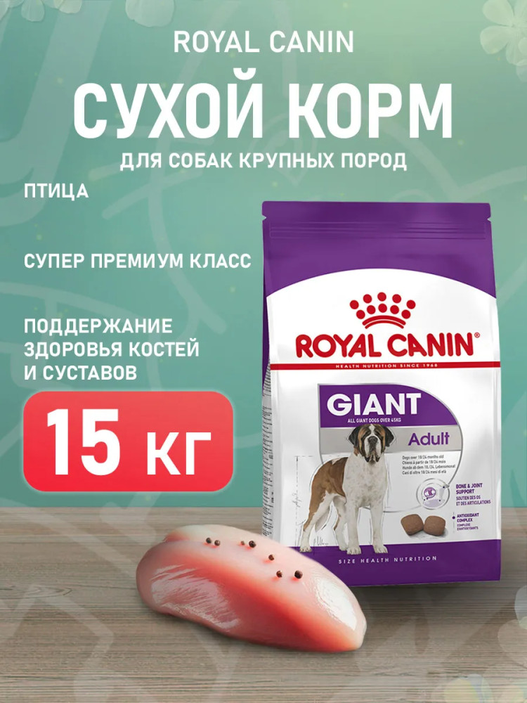 Сухой корм для взрослых собак очень крупных пород «Giant Adult» | Royal Canin