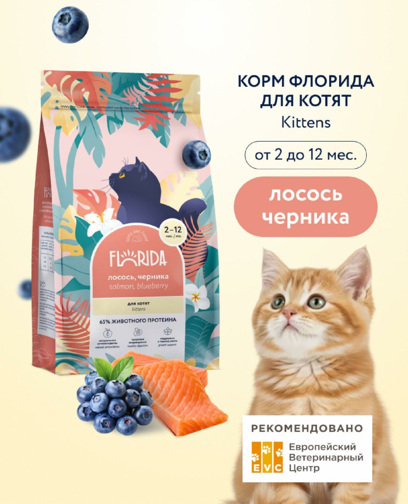 Сухой корм для котят с лососем и черникой «Kitten Delicate. Salmon & Blueberry» | Florida