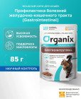 индейка и курица индейка и курица
