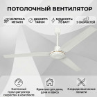 ақ лалагүл ақ лалагүл