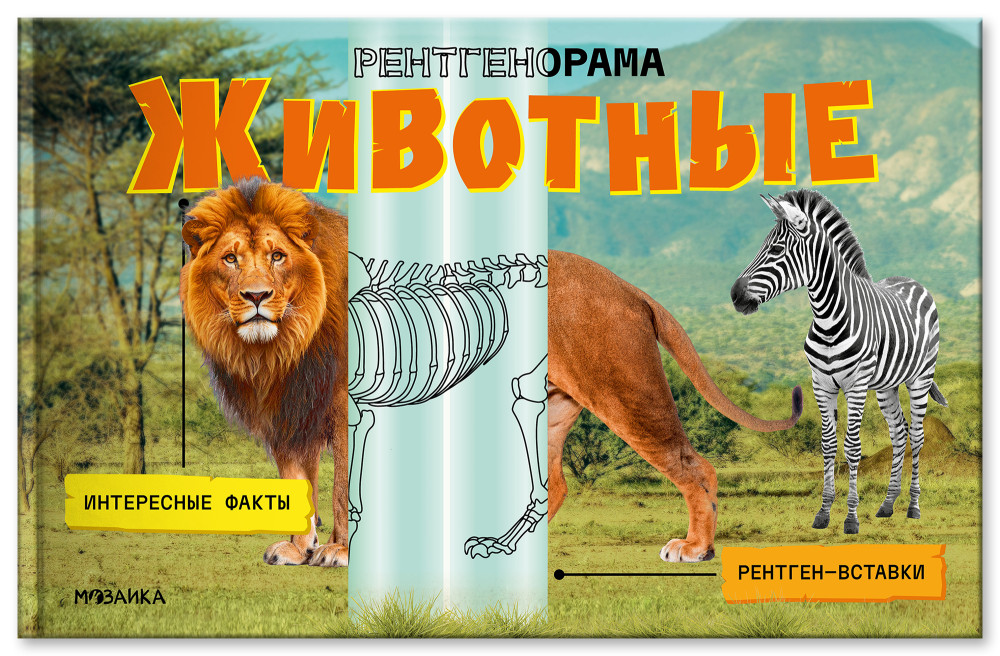 Рентгенорама. Животные | Рентгенорама