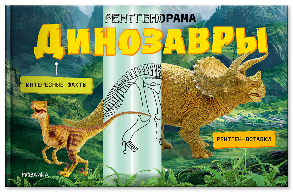Рентгенорама. Динозавры | Рентгенорама