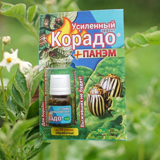 Средство от колорадского жука и тли Корадо 10 мл + Панэм