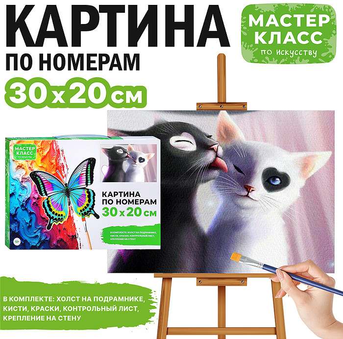 Картина по номерам «Инь и Янь» | Мастер класс