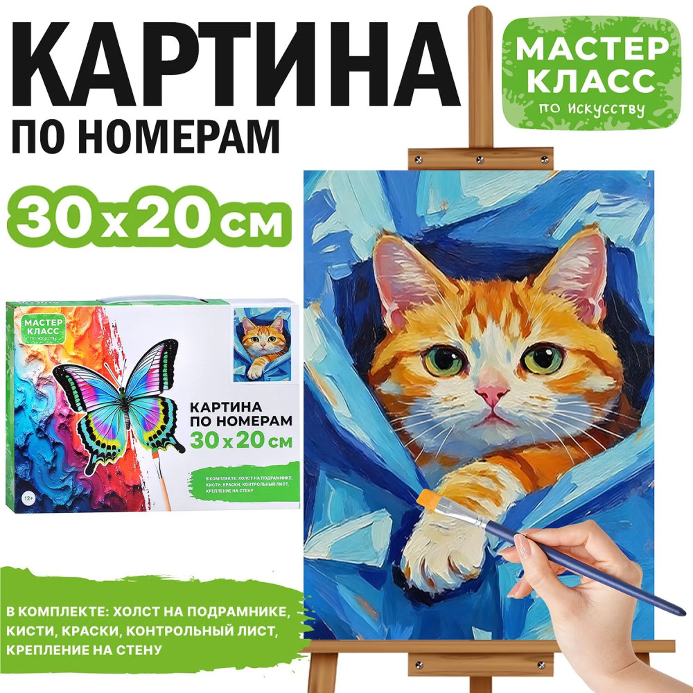 Картина по номерам «Котик в пледе» | Мастер класс
