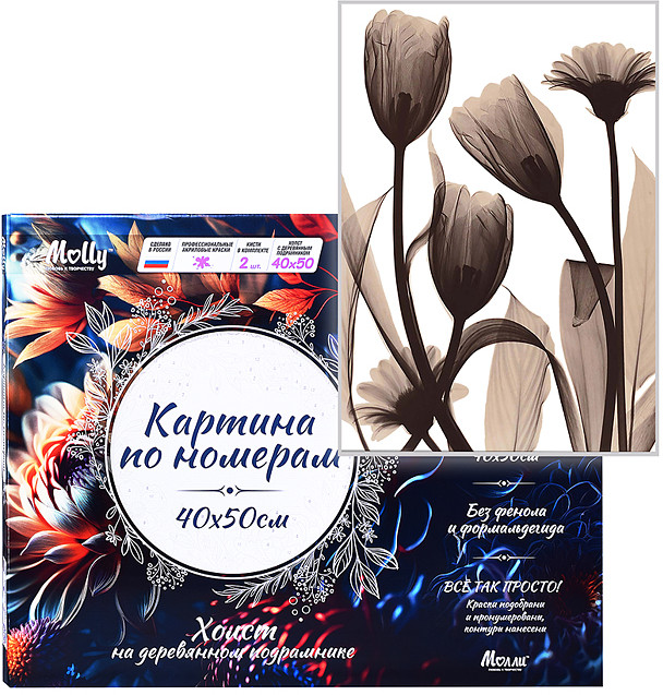 Картина по номерам «Монохромные тюльпаны» | SilverToys