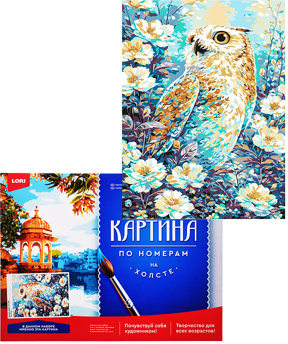 Картина по номерам «Белая сова» | Lori