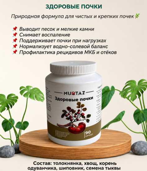 Здоровые Почки