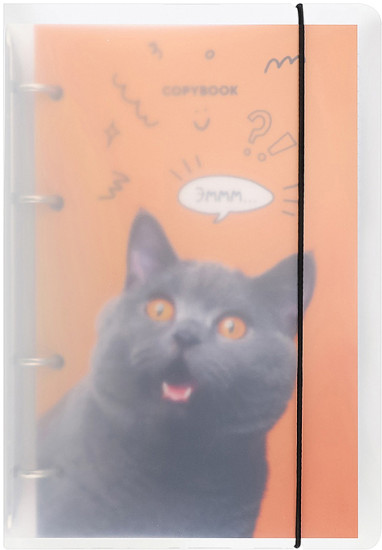 Тетрадь «Удивлённый котик»