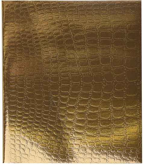 Тетрадь «Metallic»