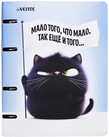 Тетрадь «Мало того, что мало...»