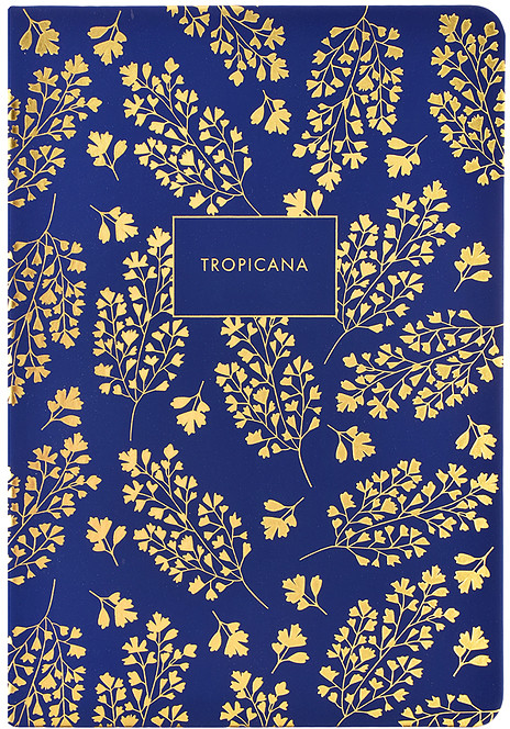 Ежедневник «Tropicana» | deVENTE