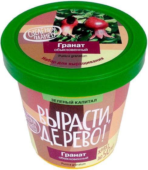 Набор для выращивания «Гранат обыкновенный» | Вырасти, дерево! | Зеленый Капитал