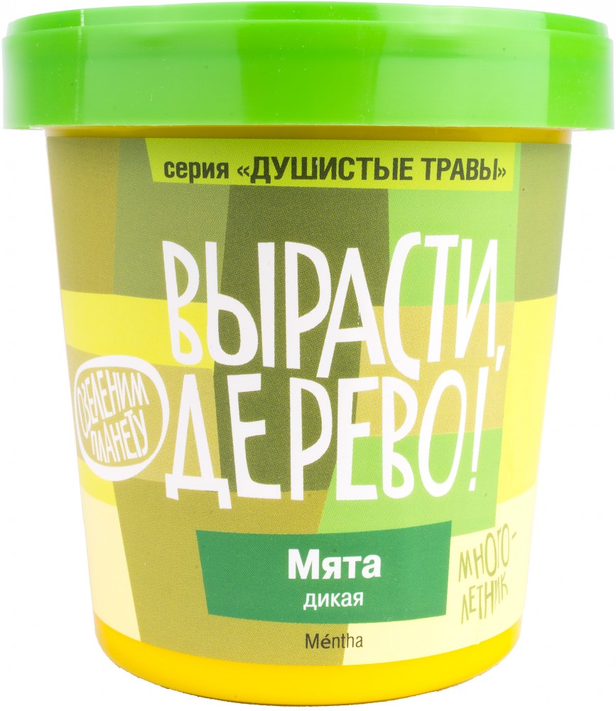 Набор для выращивания «Мята дикая» | Вырасти, дерево! | Зеленый Капитал