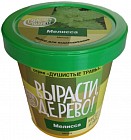 Набор для выращивания «Мелисса»