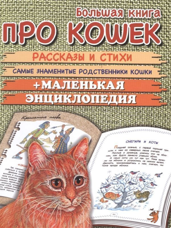 Большая книга про кошек