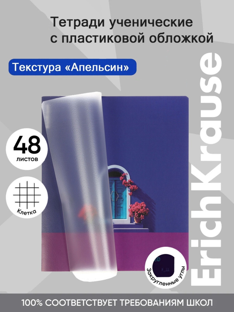 Тетрадь общая ученическая с пластиковой обложкой «Serenada» | CoverPrо fizzy | Erich Krause