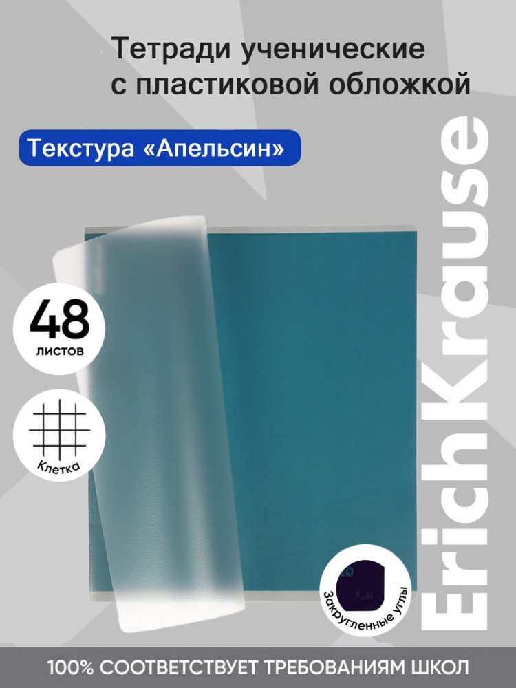 Тетрадь общая ученическая с пластиковой обложкой «Stormy» | CoverPrо fizzy | Erich Krause