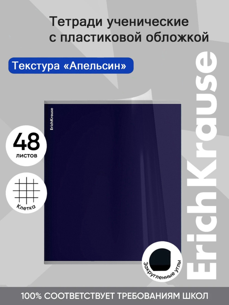 Тетрадь общая ученическая с пластиковой обложкой «Stormy» | CoverPrо fizzy | Erich Krause