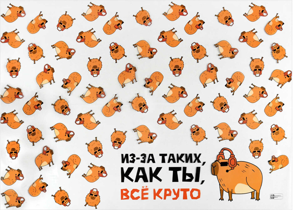 Плёнка для уроков труда «Крутая капибара» | Герои с характером | Феникс +