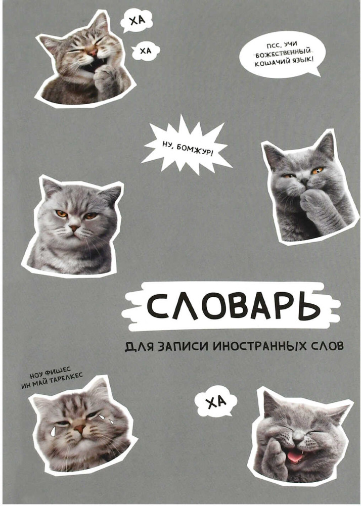 Тетрадь-словарь для записи иностранных слов «Стикеры с котами» | Феникс +