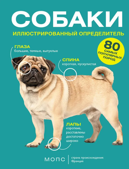 Собаки. 80 самых популярных пород. Иллюстрированный определитель