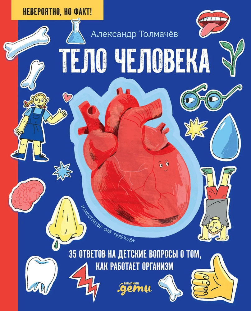 Тело человека. 35 ответов на детские вопросы о том, как работает организм | Невероятно, но факт!