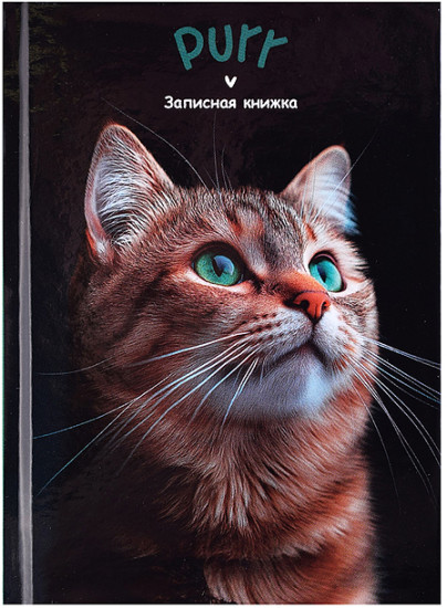 Записная книжка «Зеленоглазый котик - 1»