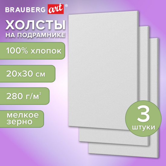 Набор холстов на подрамнике «Art Basic»