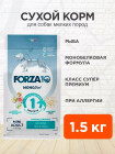 рыба
