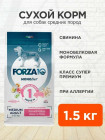 свинина свинина