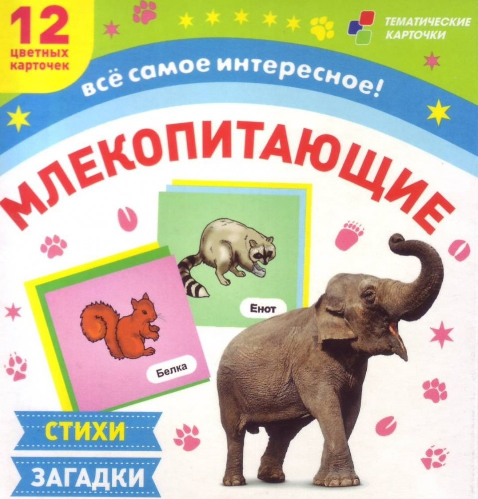 Млекопитающие. 12 развивающих карточек с красочными картинками, стихами и загадками для занятий с детьми | Тематические карточки