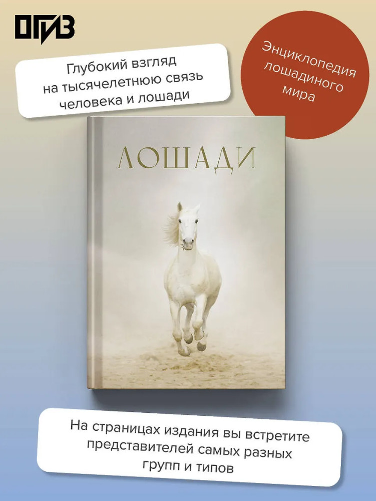 Лошади | Большая подарочная книга
