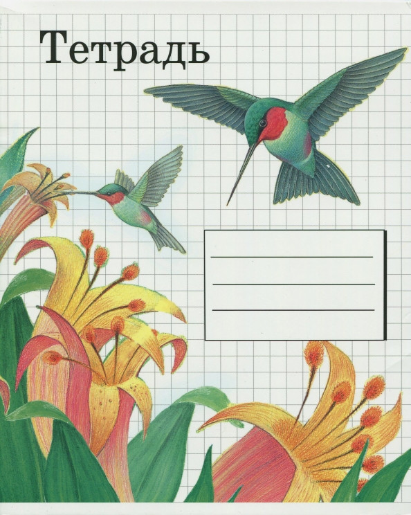 Тетрадь