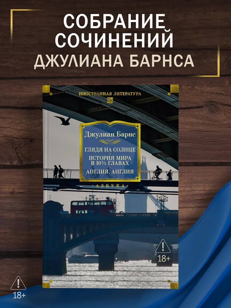 Глядя на солнце. История мира в 10 1/2 главах. Англия, Англия | Иностранная литература. Большие книги