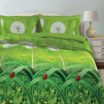 Комплект постельного белья «Одуванчики» (арт. 12022, евро, поплин, 2 наволочки 70х70)