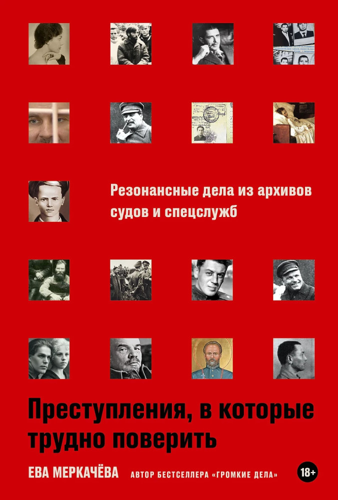 Преступления, в которые трудно поверить. Резонансные дела из архивов судов и спецслужб | Расследования Евы Меркачевой