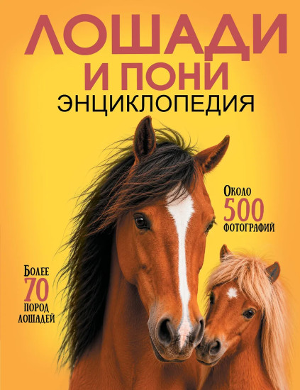 Лошади и пони